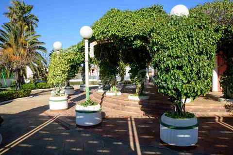 Villa i Caudete, Albacete, Caudete - € 489.000 | Ref: SF0572 - foto 35